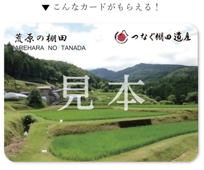 荒原の棚田「棚田カード」見本