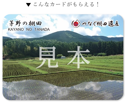 茅野の棚田「棚田カード」見本