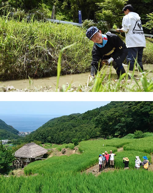 「しずおか棚田・里地くらぶ」をもっと活用しよう！