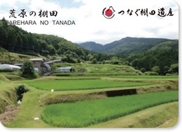 荒原の棚田群