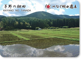 茅野の棚田群