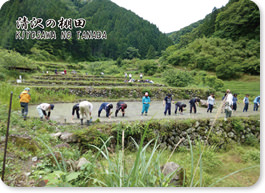 清沢の棚田