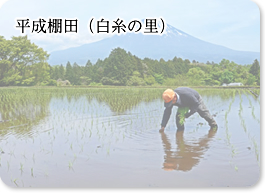 平成棚田（白糸の里）