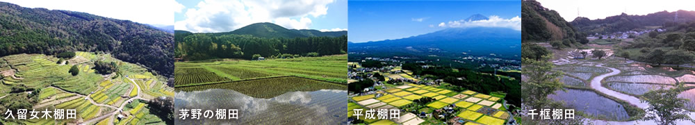 静岡の認定棚田