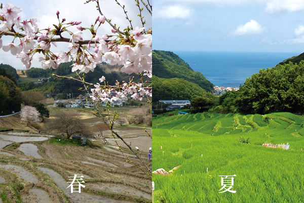 春夏