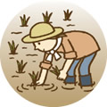 田植え
