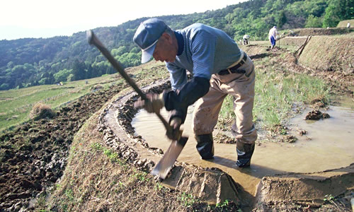 あぜ切り、あぜ塗り