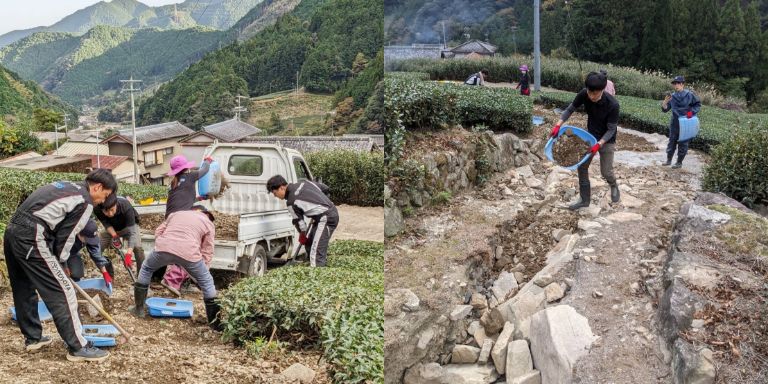 だんだん茶畑　土砂の片付け作業