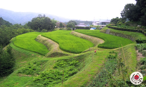 荒原（あれはら）の棚田