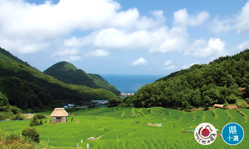 石部（いしぶ）の棚田